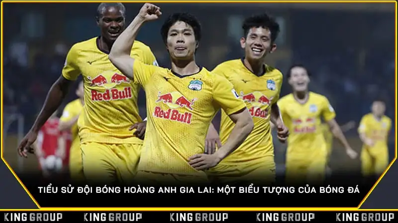 Tiểu sử đội bóng Hoàng Anh Gia Lai: Một biểu tượng của bóng đá